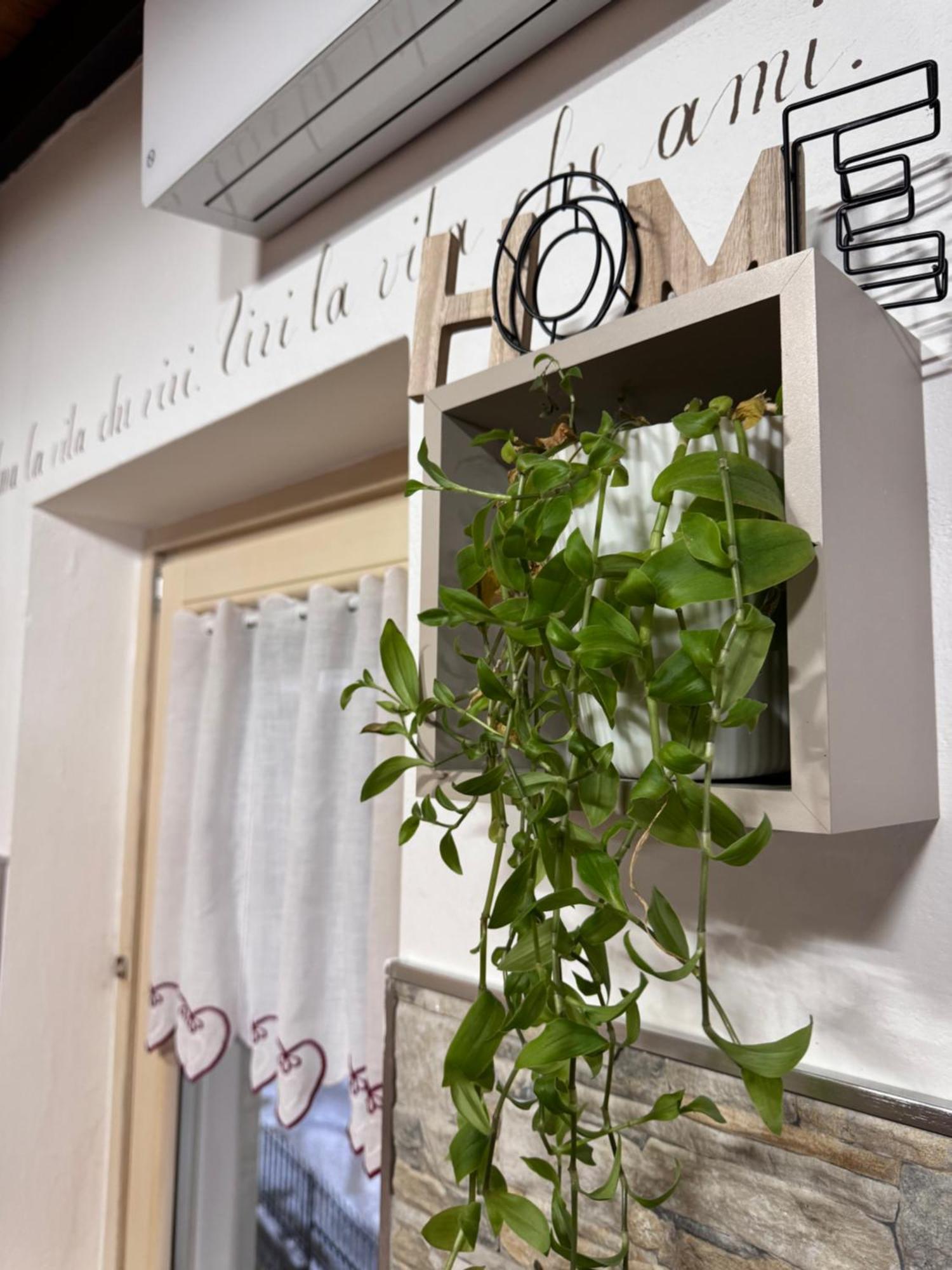 Residenze Vezza - Home Sweet Home- Vezza dʼOglio Exterior foto